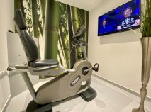 Technogym Fahrrad mit TV Unterhaltung 